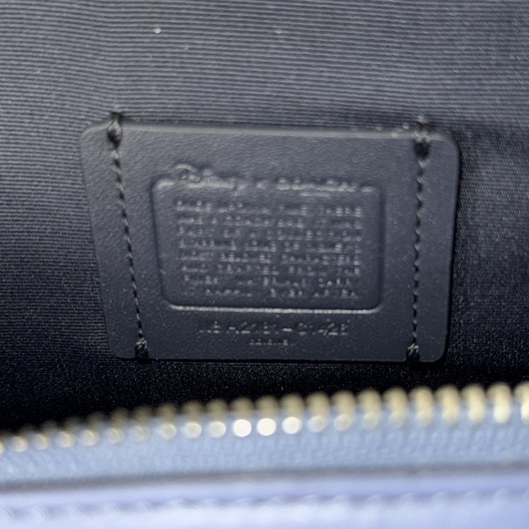 Disney X Coach Cinderella Crossbody Box Bag Purse NWT - Picture 14 of 15